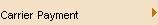 Carrier Payment